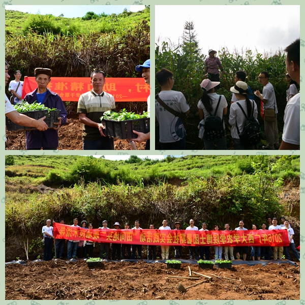 田间地头，实地演练